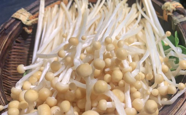 網(wǎng)紅火鍋店背后的運營邏輯是什么？