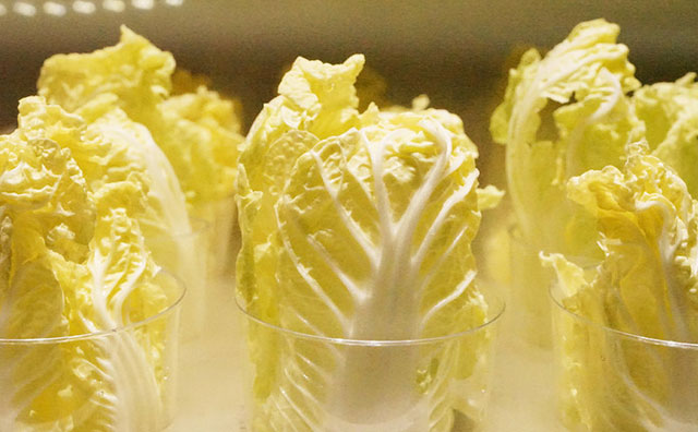 2022年餐飲業(yè)低價競爭會帶來何種負面影響？