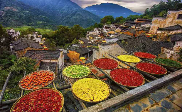 美食之花精彩綻放英雄城，第二十屆中國美食節(jié)將在南昌舉行