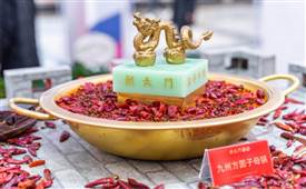 哪種毛肚好吃？火鍋店該怎么選？