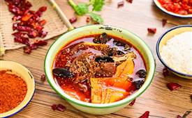 未來(lái)做什么餐飲品類是大的趨勢(shì)！