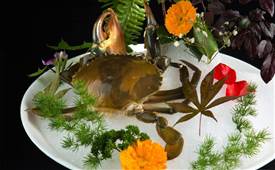 “圍爐煮茶”爆火的背后，暗藏了什么餐飲邏輯？