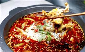 美蛙魚(yú)頭火鍋加盟費(fèi)需要多少錢